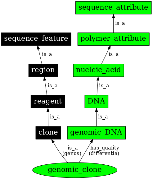 Graph image for SO:0000040