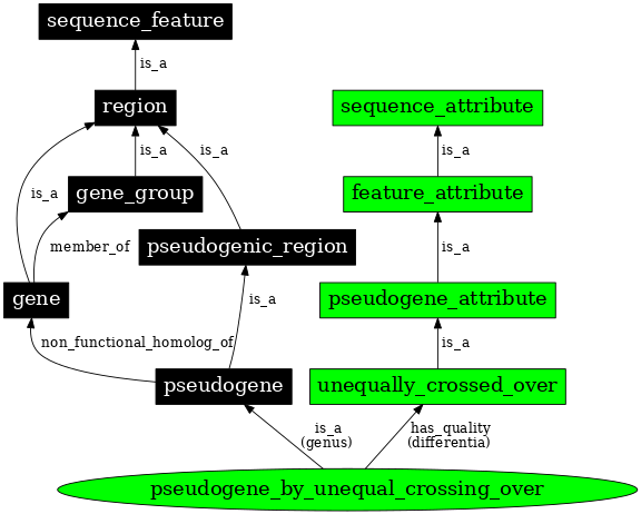 Graph image for SO:0000044