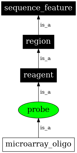 Graph image for SO:0000051