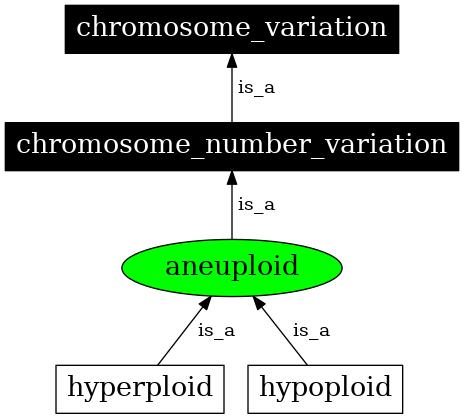 Graph image for SO:0000054
