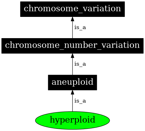 Graph image for SO:0000055