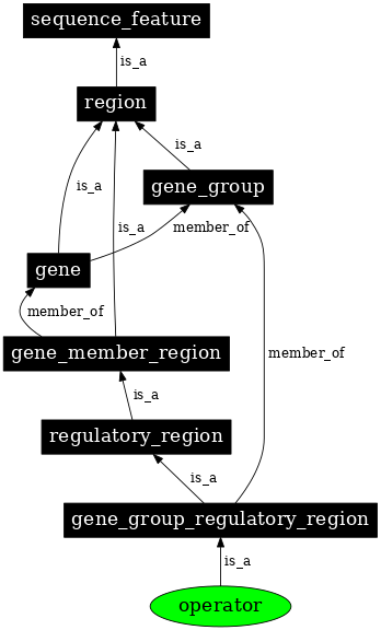 Graph image for SO:0000057
