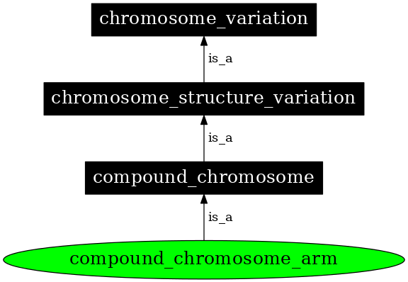 Graph image for SO:0000060
