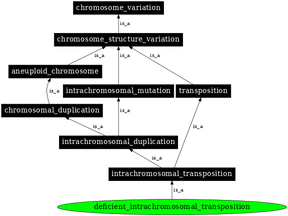 Graph image for SO:0000062
