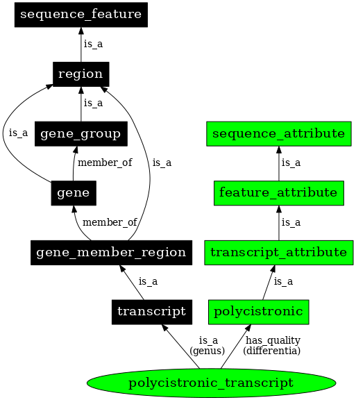Graph image for SO:0000078