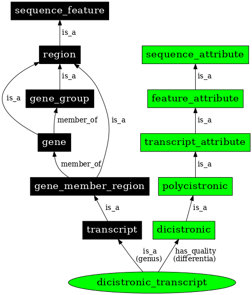 Graph image for SO:0000079