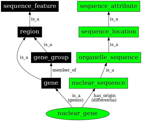 Graph image for SO:0000087