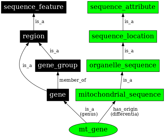 Graph image for SO:0000088