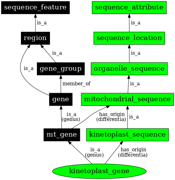 Graph image for SO:0000089