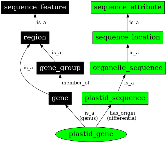 Graph image for SO:0000090