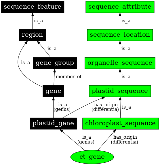 Graph image for SO:0000092