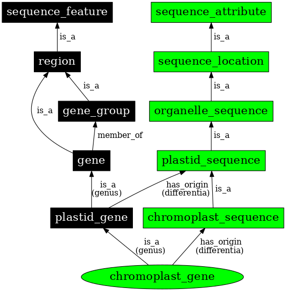 Graph image for SO:0000093