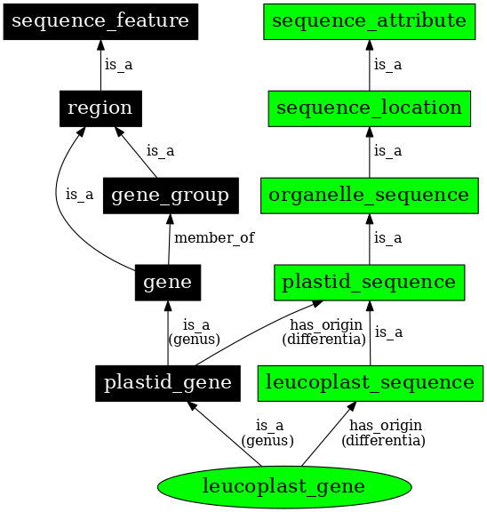 Graph image for SO:0000095