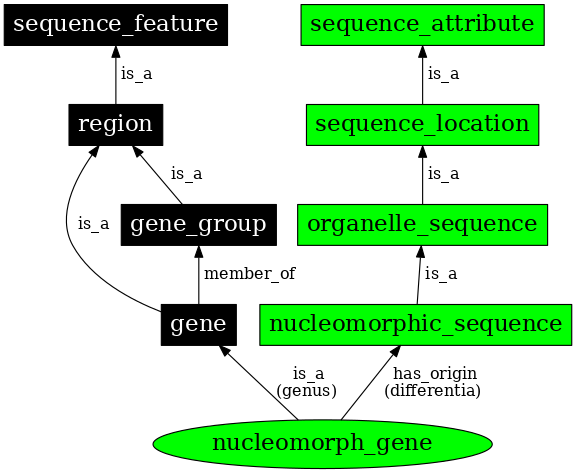 Graph image for SO:0000097