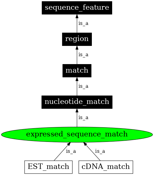 Graph image for SO:0000102
