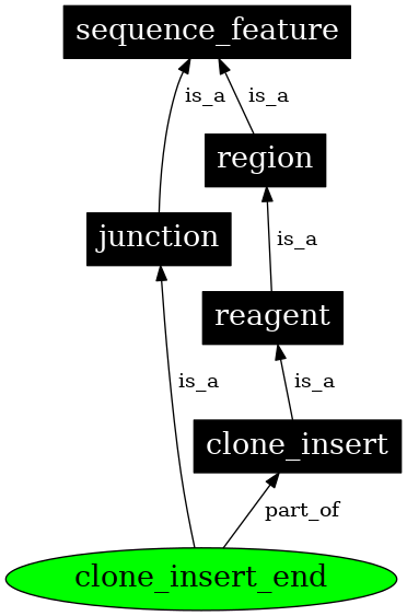 Graph image for SO:0000103