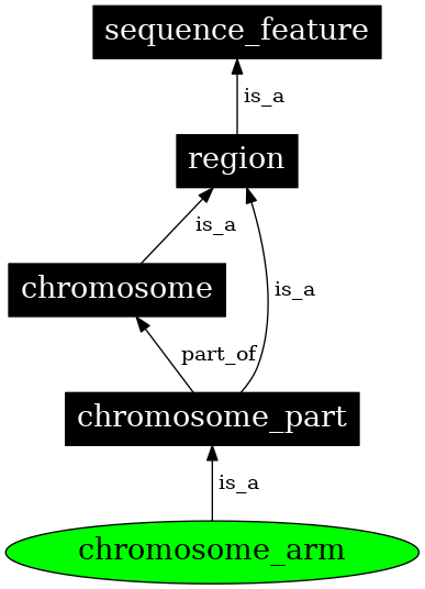 Graph image for SO:0000105