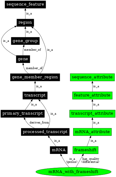 Graph image for SO:0000108