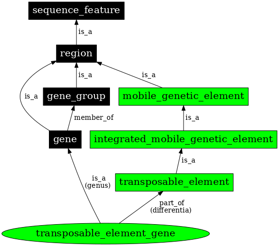 Graph image for SO:0000111