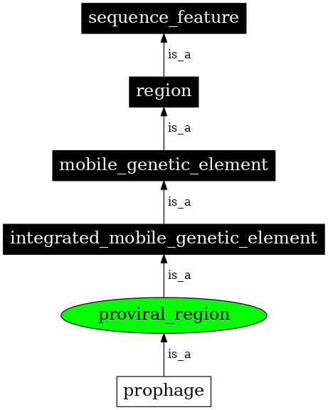 Graph image for SO:0000113