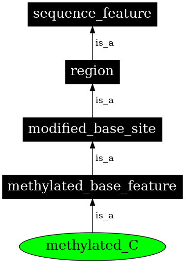 Graph image for SO:0000114