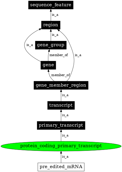Graph image for SO:0000120