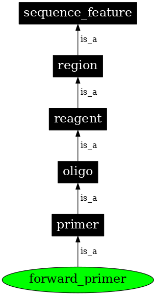 Graph image for SO:0000121