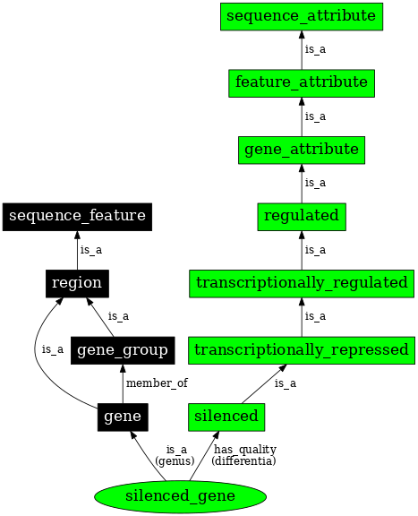 Graph image for SO:0000127