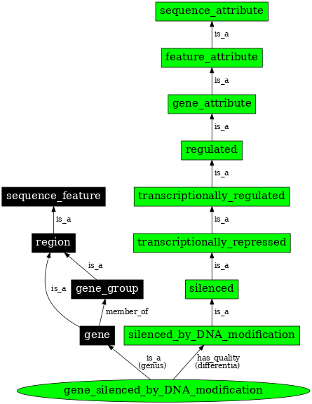Graph image for SO:0000128