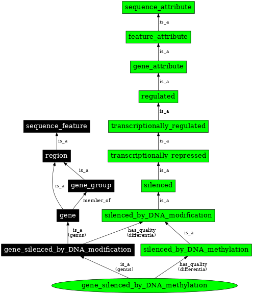 Graph image for SO:0000129
