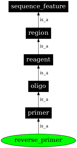 Graph image for SO:0000132
