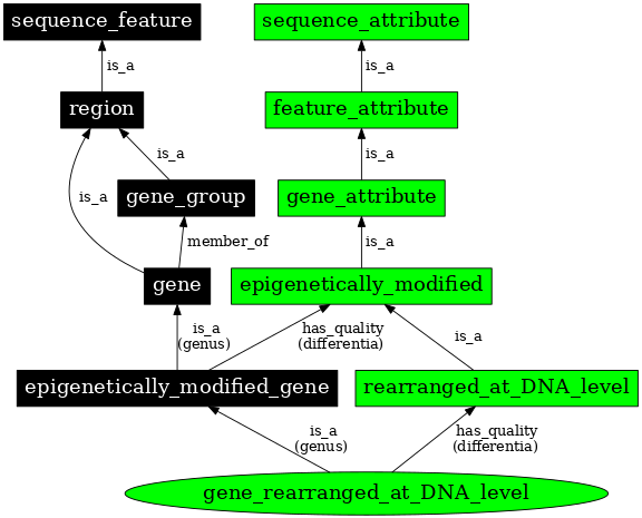 Graph image for SO:0000138