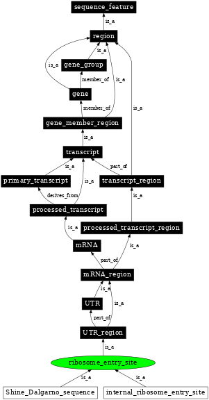 Graph image for SO:0000139