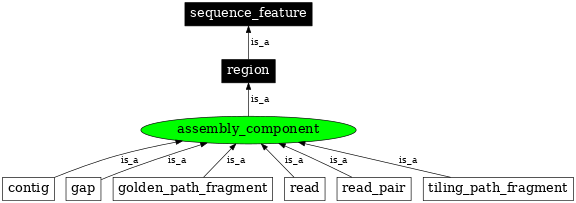 Graph image for SO:0000143