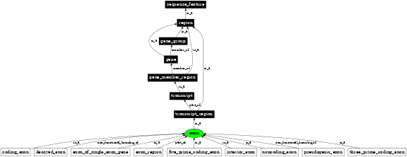 Graph image for SO:0000147