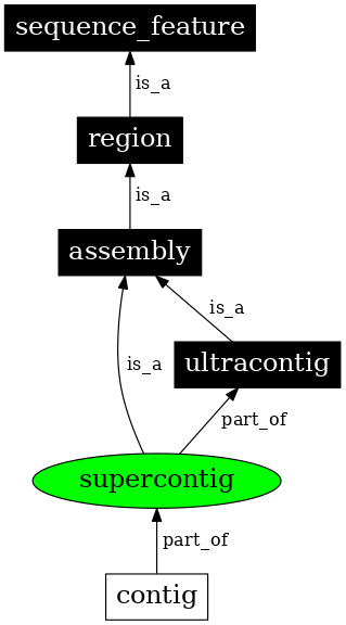 Graph image for SO:0000148
