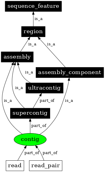 Graph image for SO:0000149