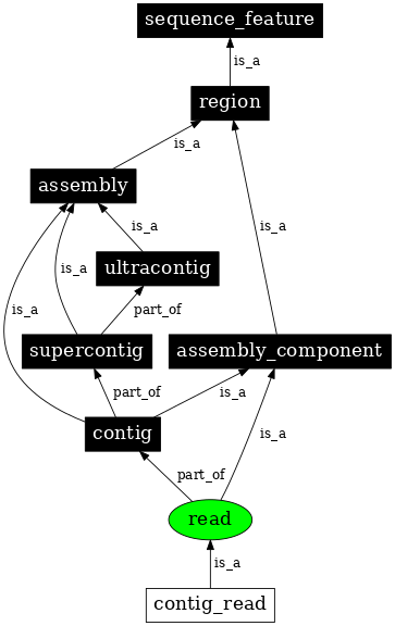 Graph image for SO:0000150