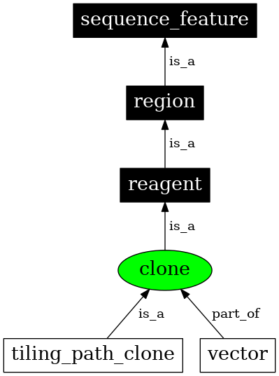 Graph image for SO:0000151