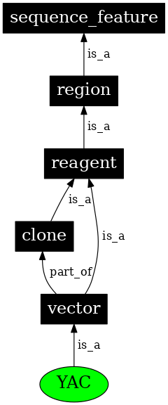 Graph image for SO:0000152