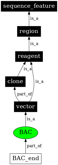 Graph image for SO:0000153