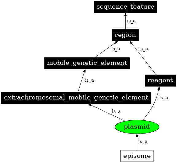 Graph image for SO:0000155