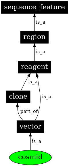 Graph image for SO:0000156