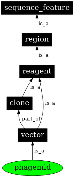 Graph image for SO:0000157