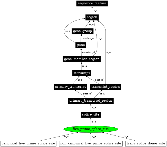 Graph image for SO:0000163