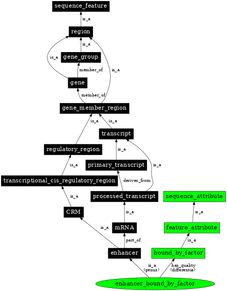 Graph image for SO:0000166