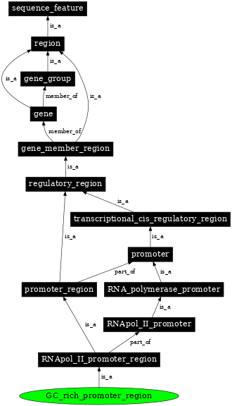 Graph image for SO:0000173
