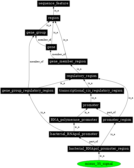 Graph image for SO:0000176