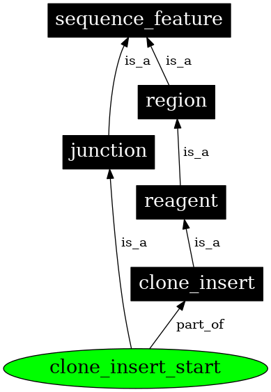 Graph image for SO:0000179