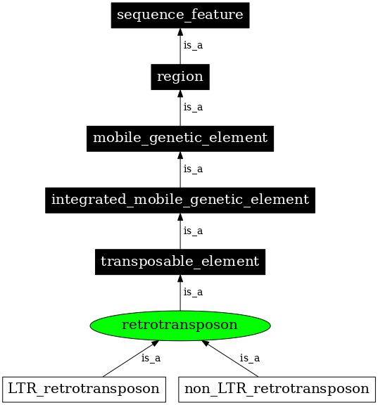 Graph image for SO:0000180